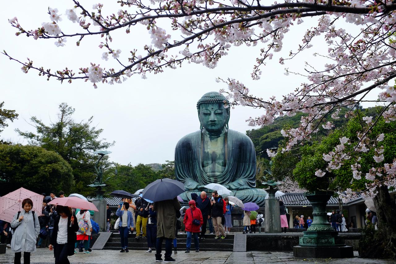 ⁨Kamakura⁩, ⁨Japan⁩