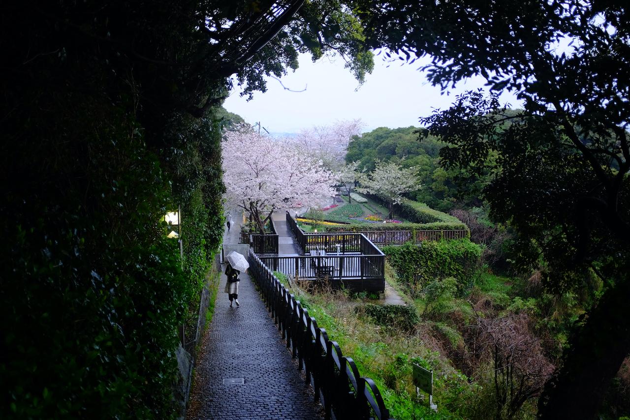 Enoshima, ⁨Japan⁩