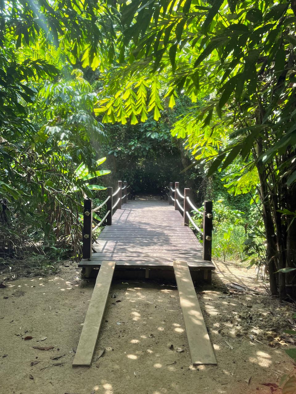 Similan Islands, Phang-nga